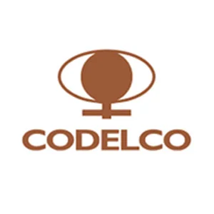 empresas-que-confiaron-codelco